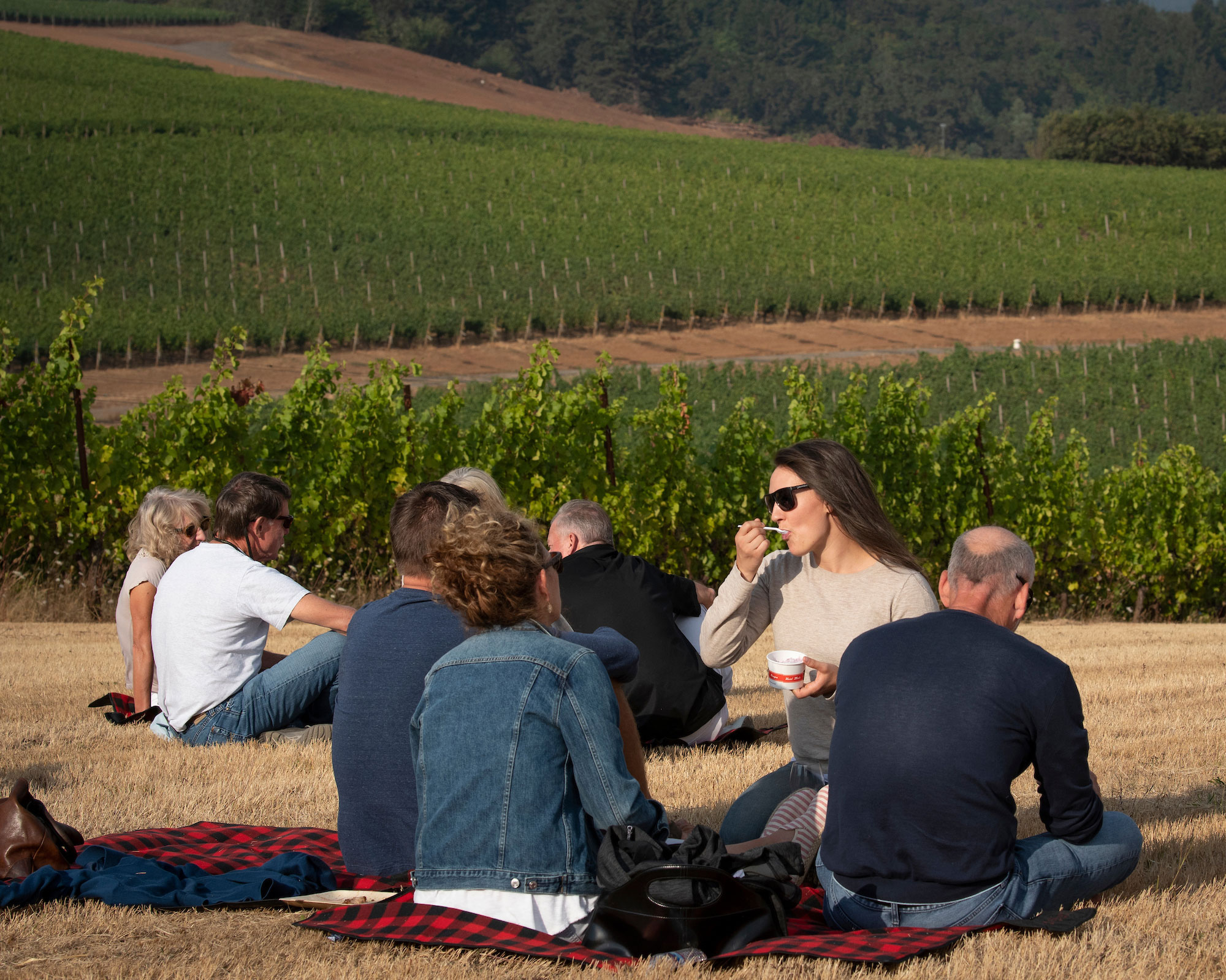 Cristom Wine Picnic in Eileen Vineyard