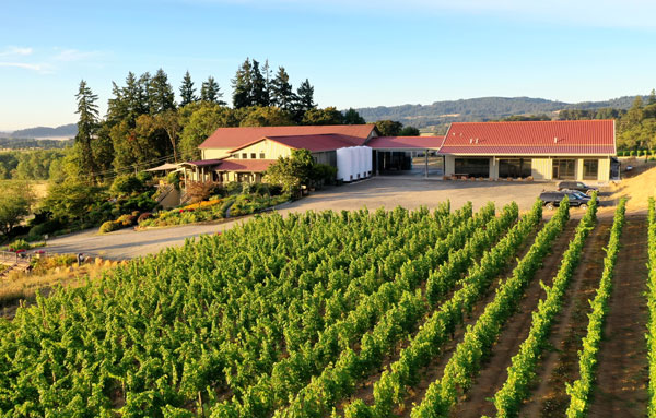 23_Cristom-Vineyards-Louise-Vineyard-and-Winery-Photo Cristom vineyard