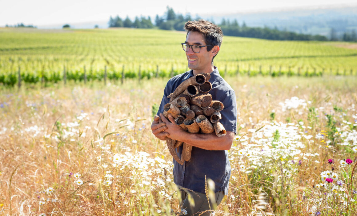 Cristom Vineyards Winemaker and Vineyard Manager Daniel Estrin Collects Biodynamic Farming Prep 500 Horns