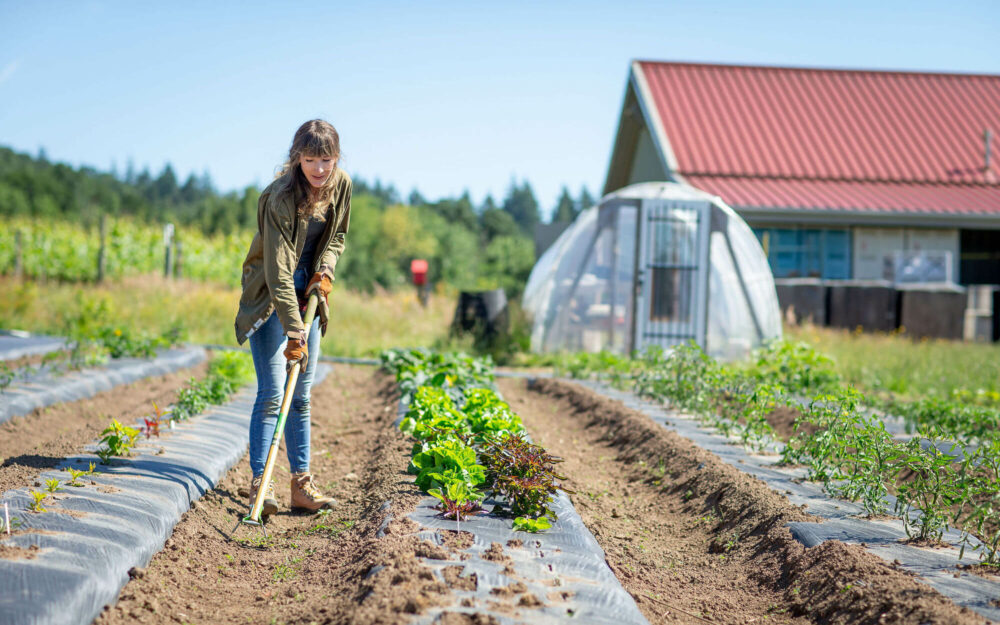 Cristom Vineyards Jessie Delarbre Hoeing the Food Garden