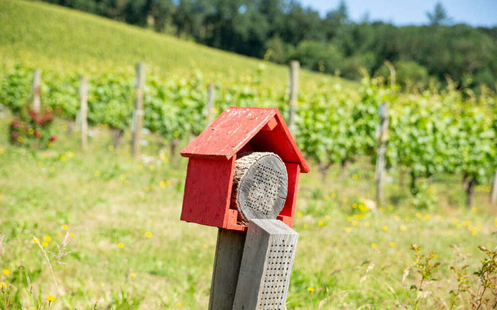 Organic Farming Mason Bee Box