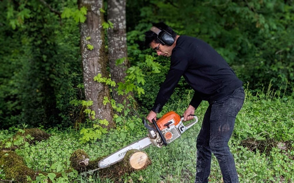 Daniel Estrin chopping fallen oak for Mason Bee Boxes