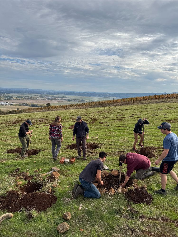 Cristom Vineyards Biodynamic Burial Fall 2025