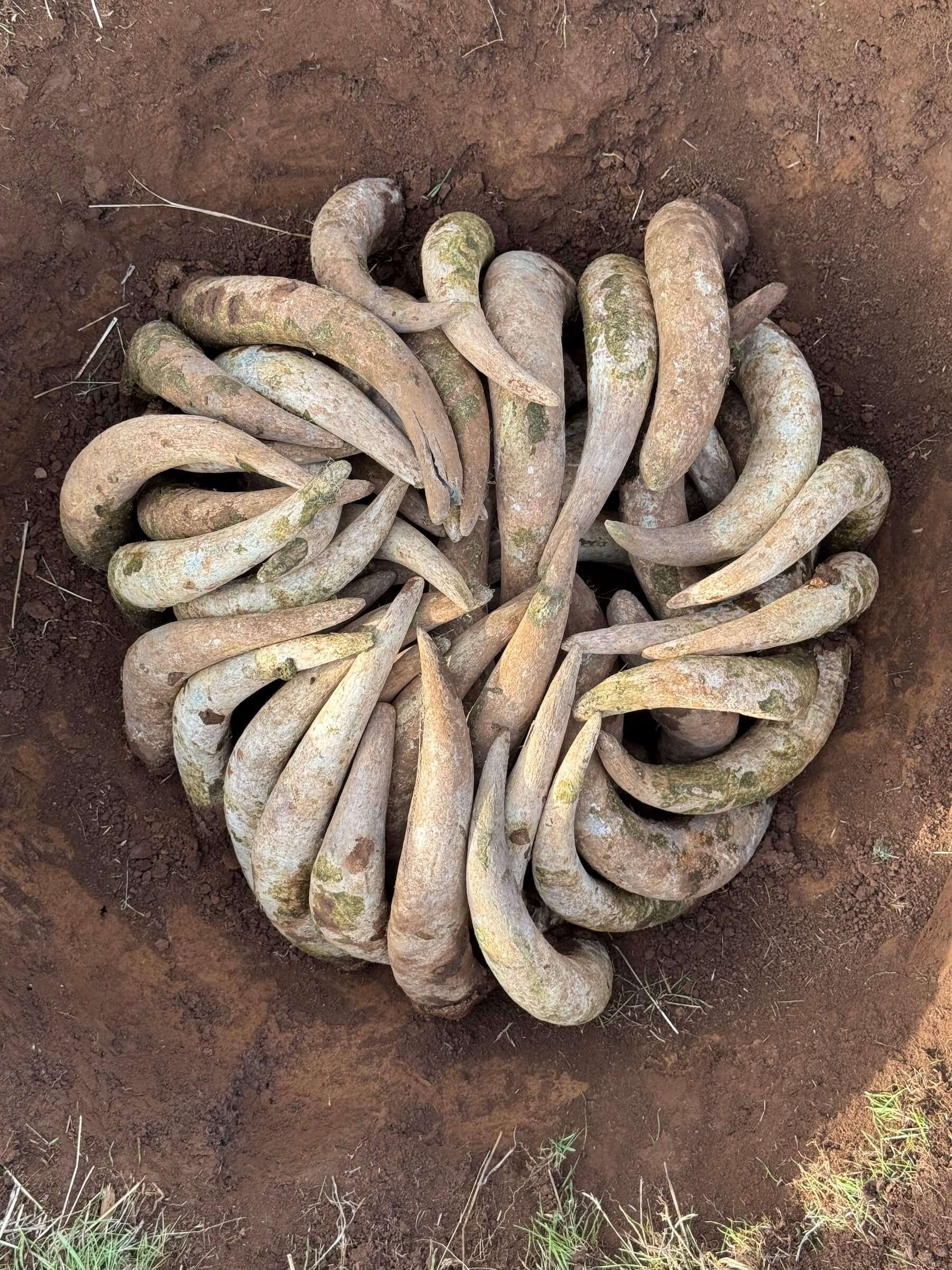 Cristom Vineyards Biodynamic Prep 500 in Ground 3