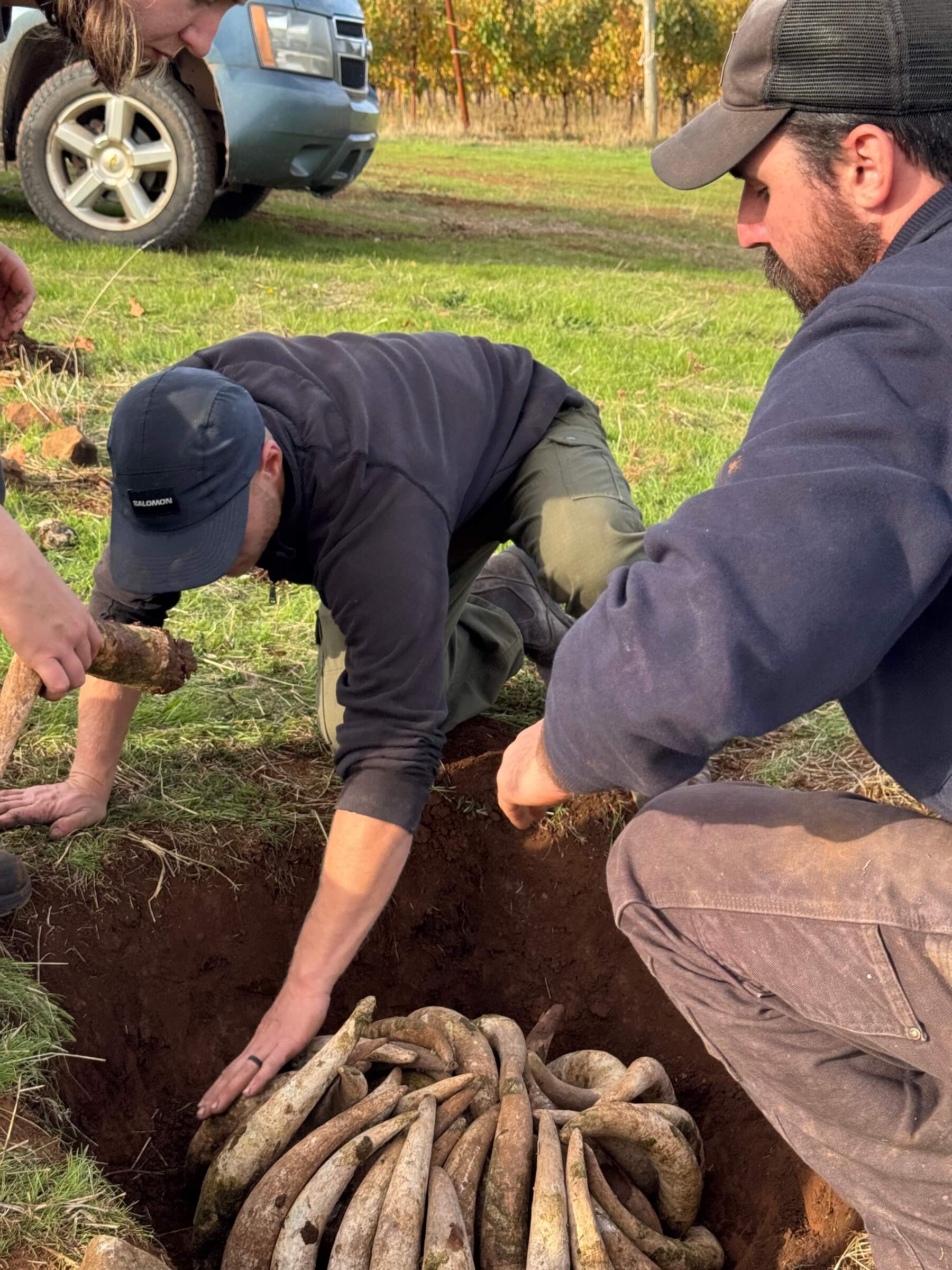 Cristom Vineyards Biodynamic Prep 500 in Ground