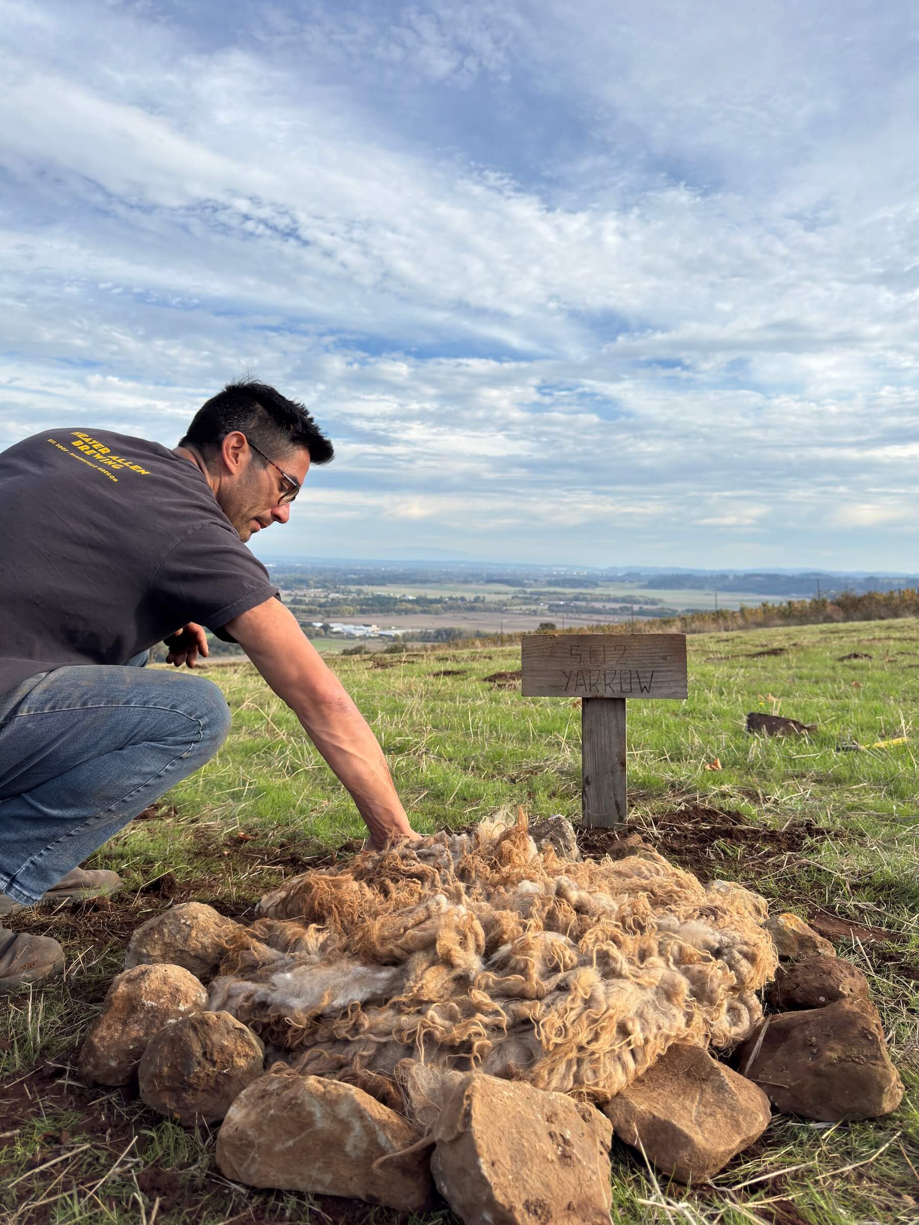 Cristom Vineyards Biodynamic Prep 502 Yarrow is buried