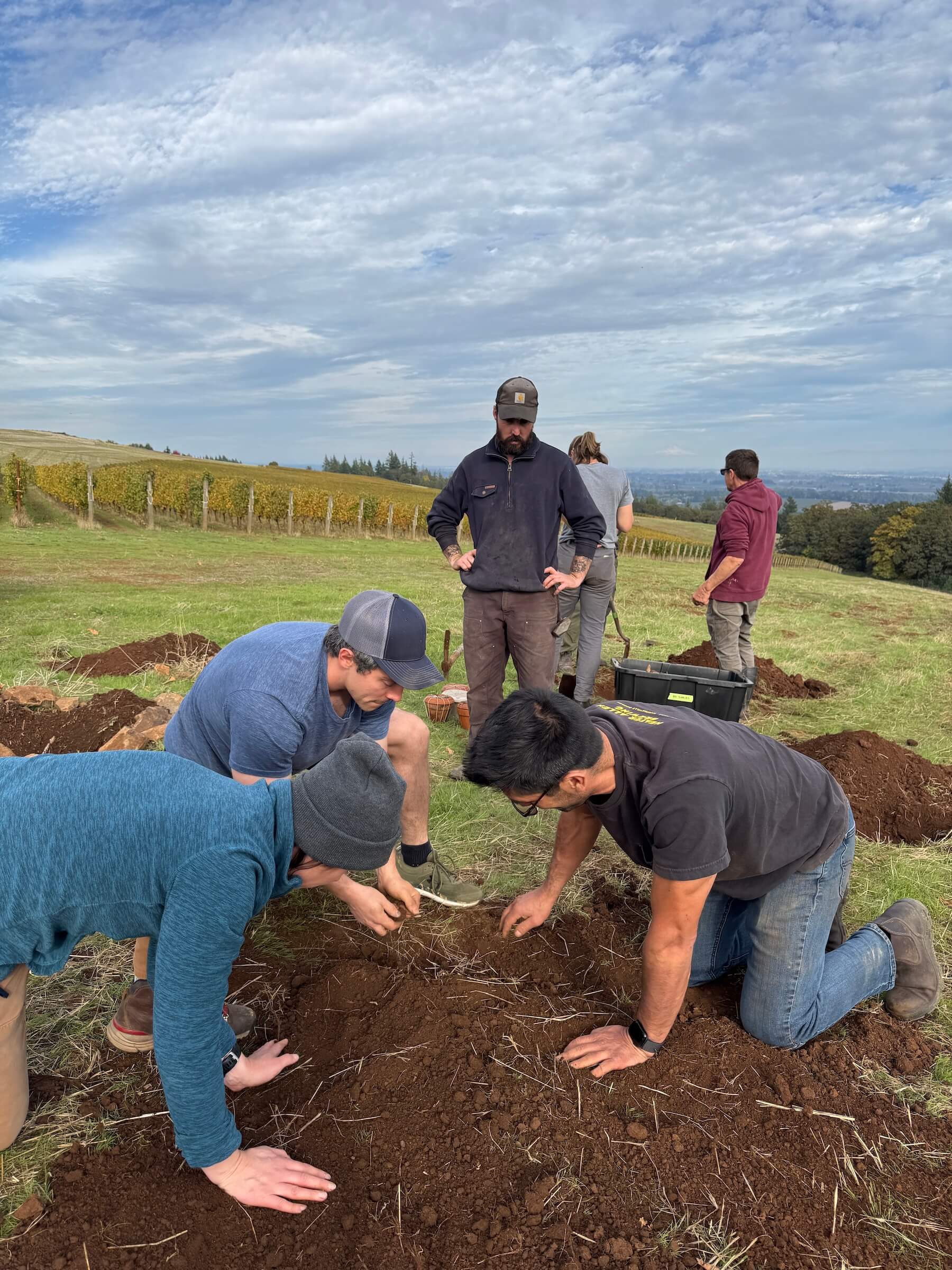 Cristom Vineyards Biodynamic Prep Burial Complete